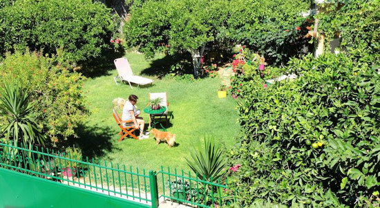 Zorbas hotel apartments garden