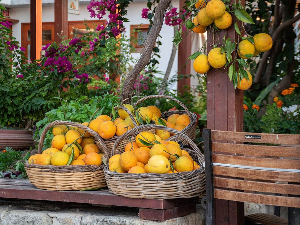 Oranges in the Cretan traditional garden
