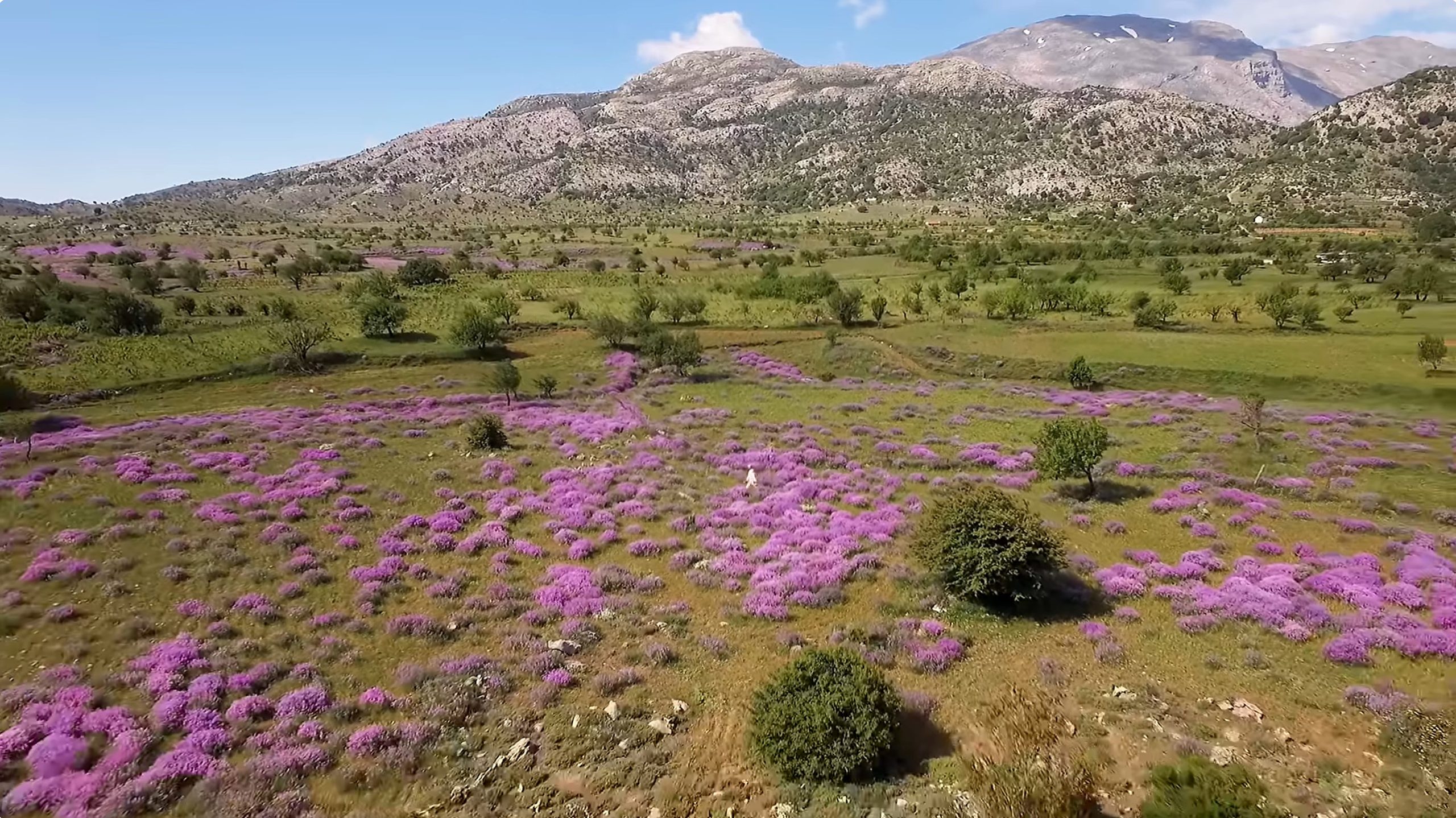 Activities in Agia Pelagia - Things to Do and Places to Visit! 23 Outdoor Activies in Agia Pelagia Crete Greece Sightseeing 4 scaled