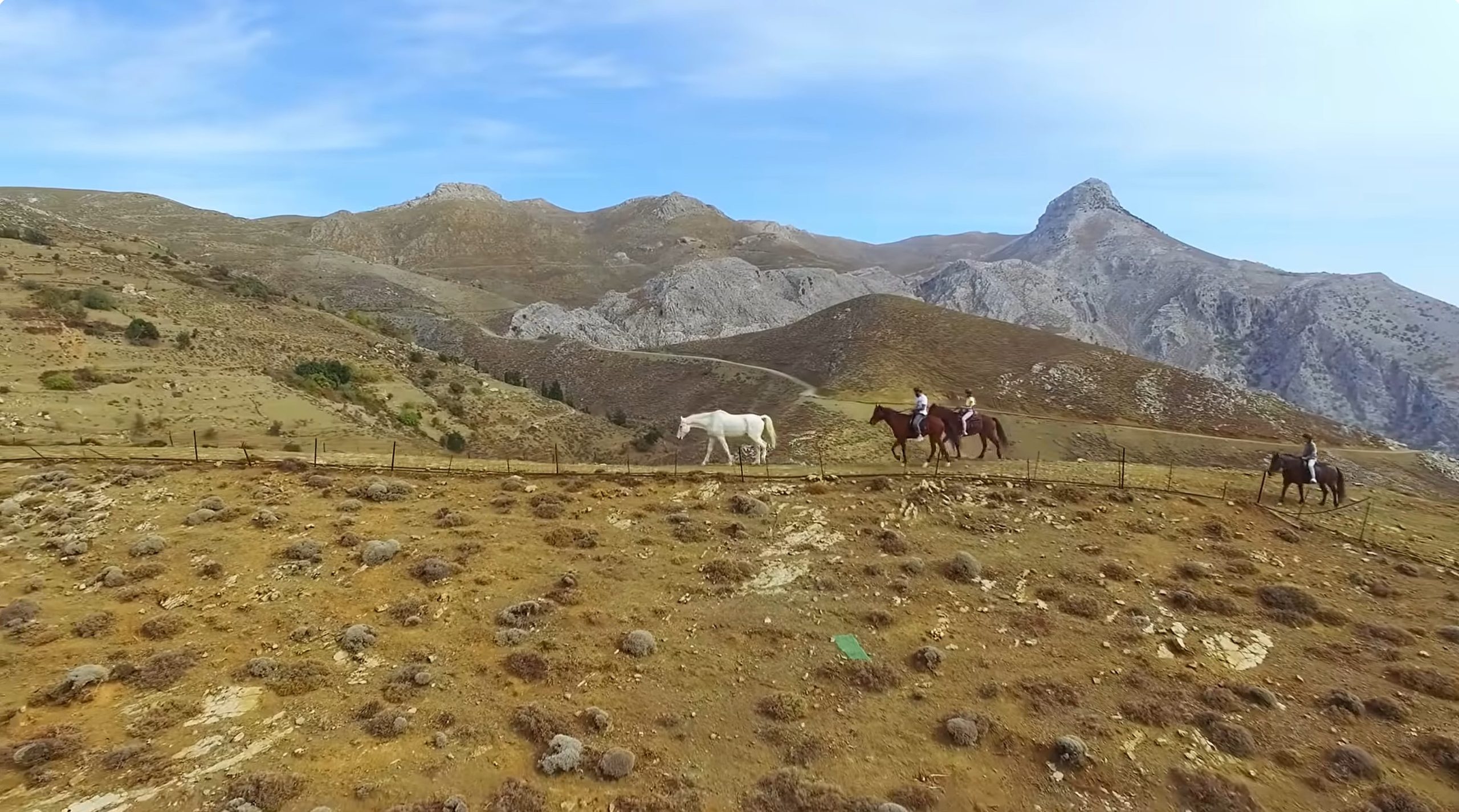 Activities in Agia Pelagia - Things to Do and Places to Visit! 25 Outdoor Activies in Agia Pelagia Crete Greece horse riding scaled