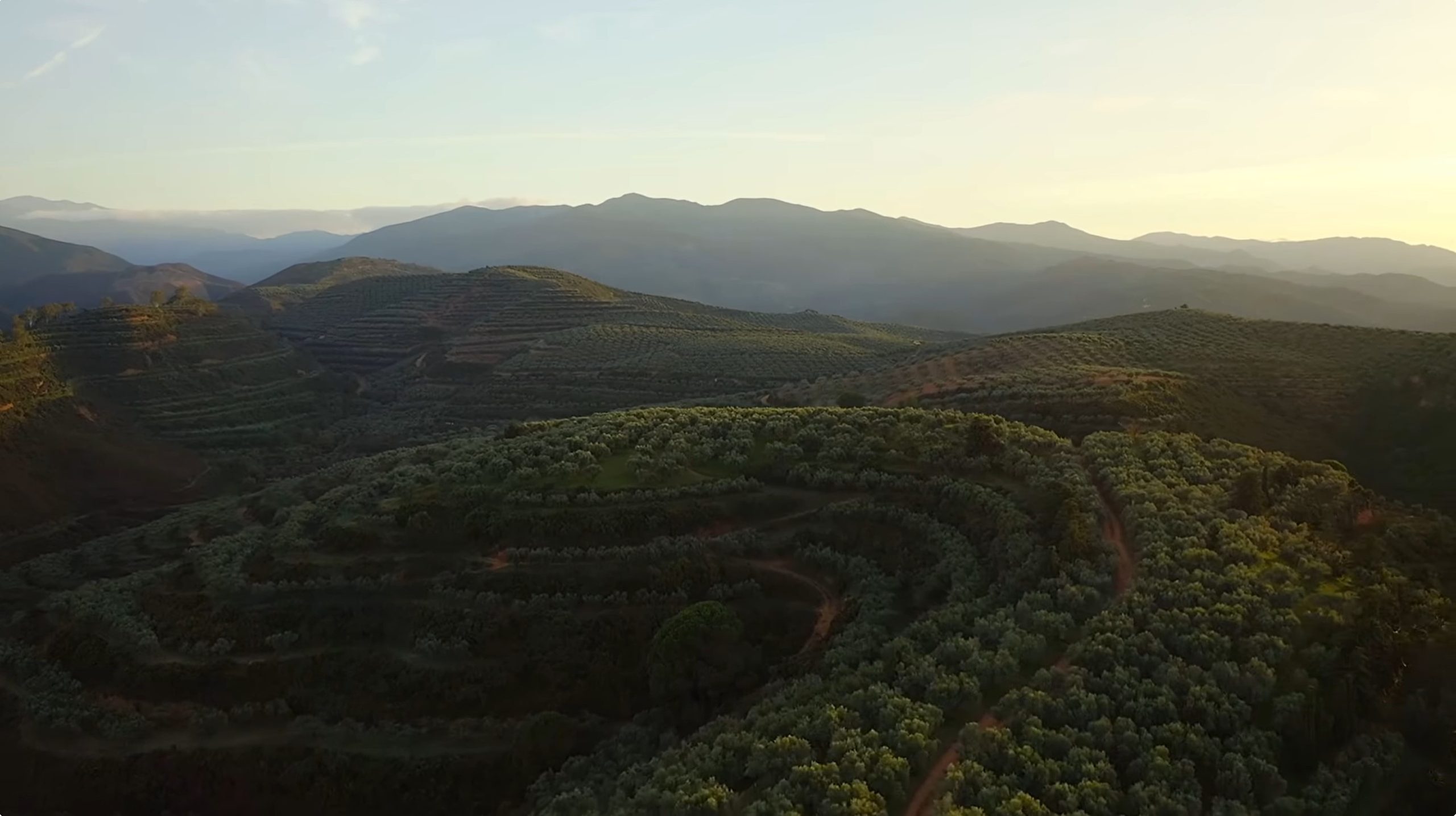 Activities in Agia Pelagia - Things to Do and Places to Visit! 37 Outdoor Activies in Agia Pelagia Crete Greece wine tasting tours scaled