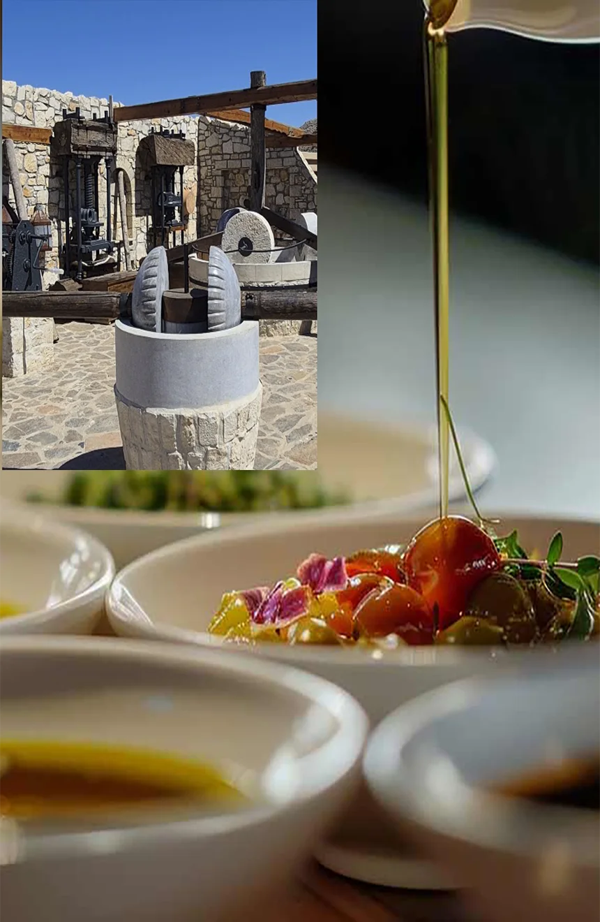 Activities in Agia Pelagia - Things to Do and Places to Visit! 14 olive mill tour and olive oil tasting